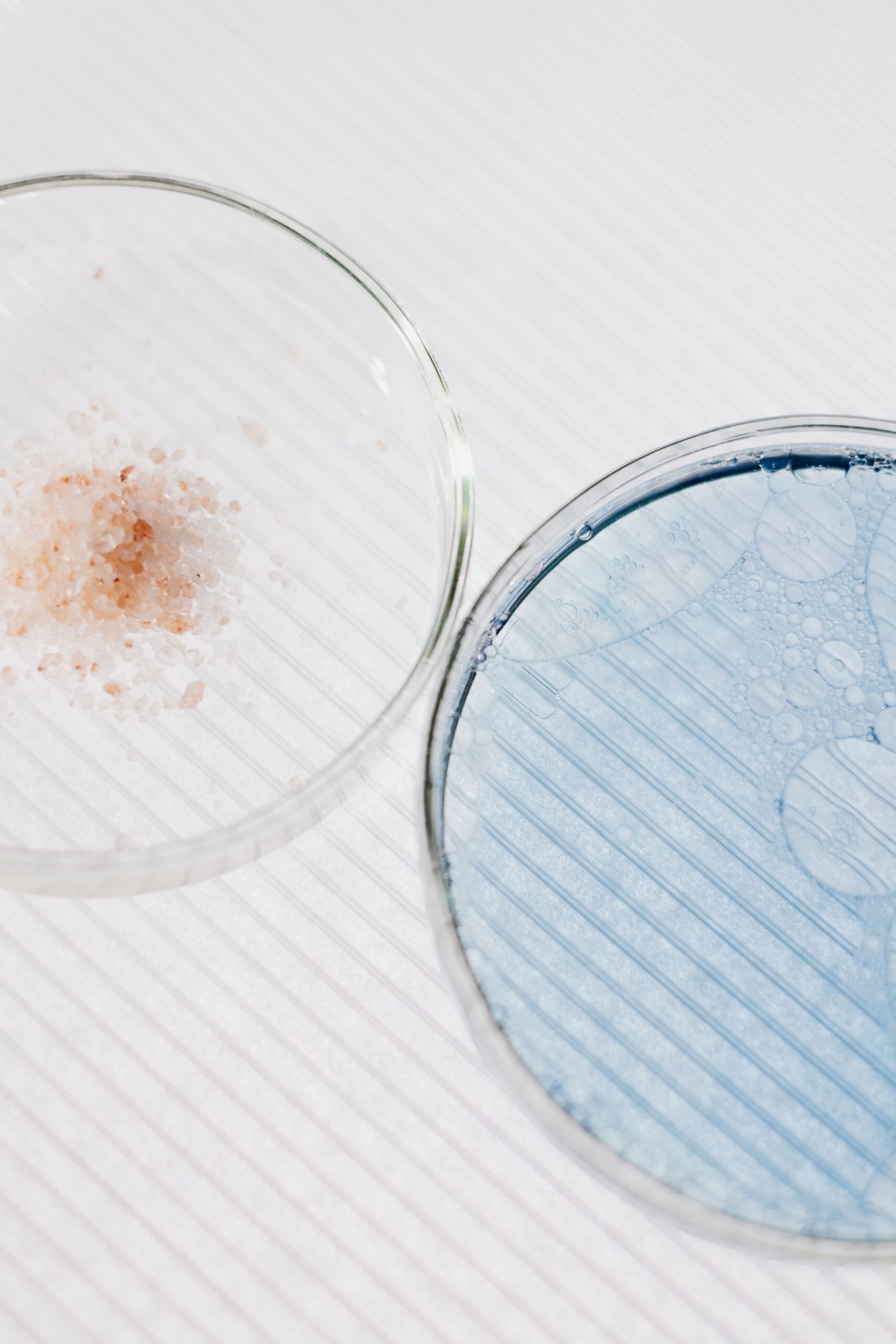 Laboratory dishes with liquid and texture samples used as a visual reference for jelly cleanser sample testing